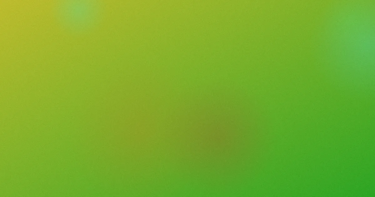 鄂靖文测评：别只看星女郎